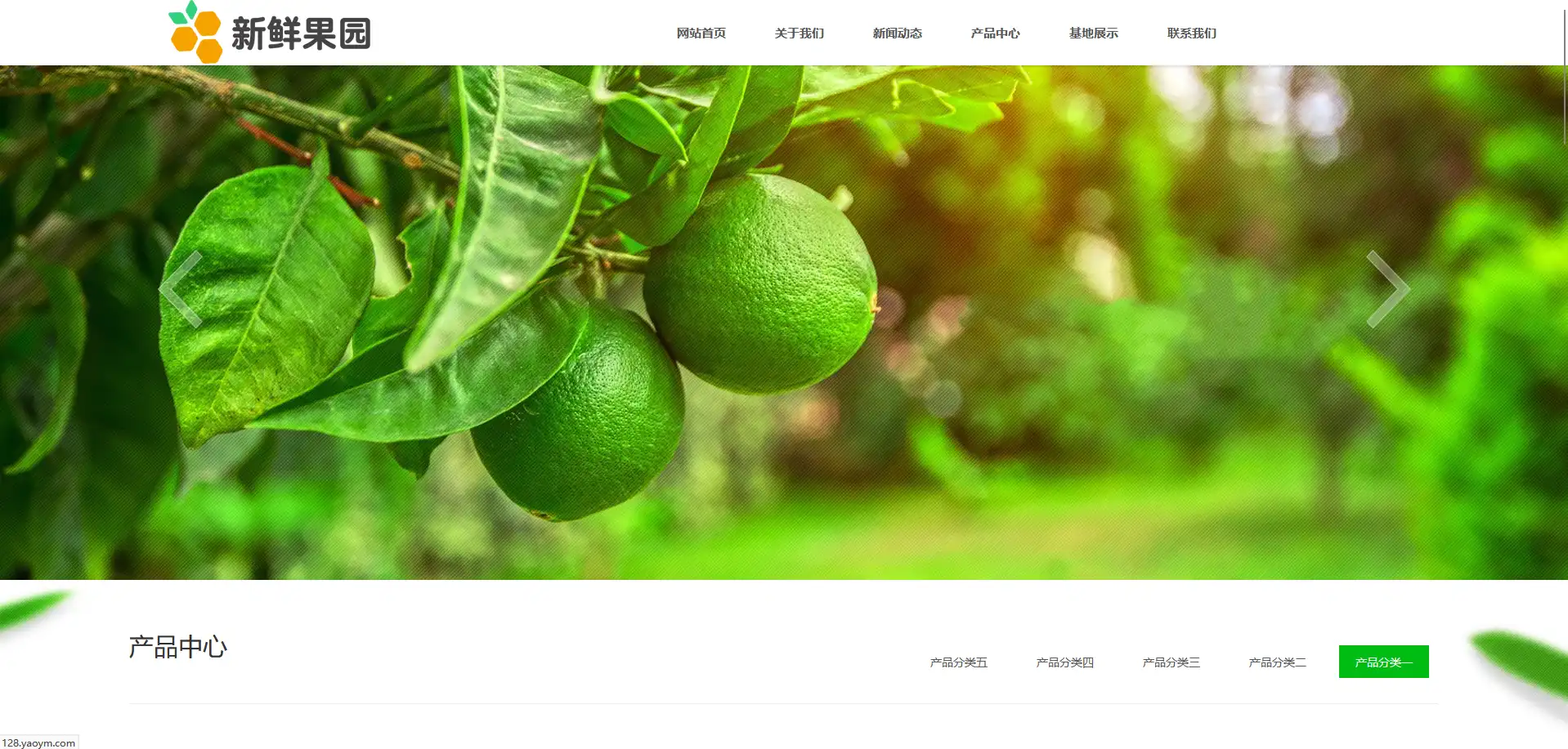 2.webp