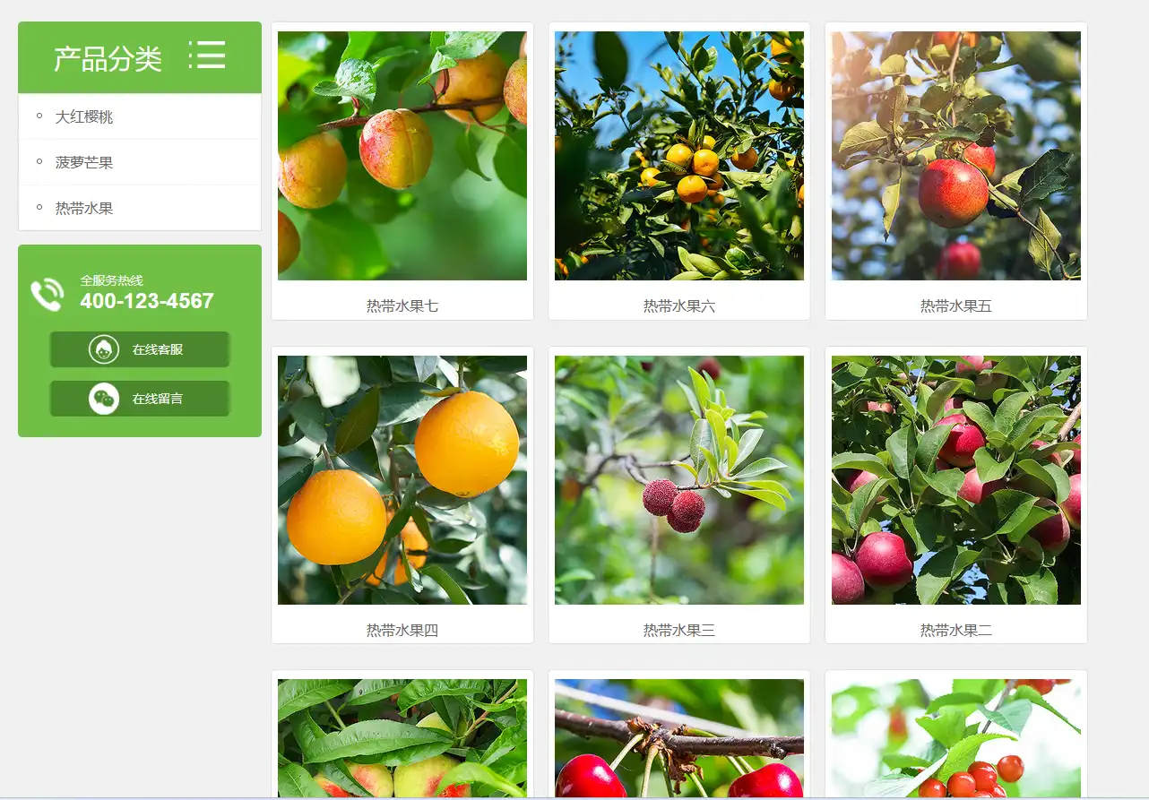 3.webp