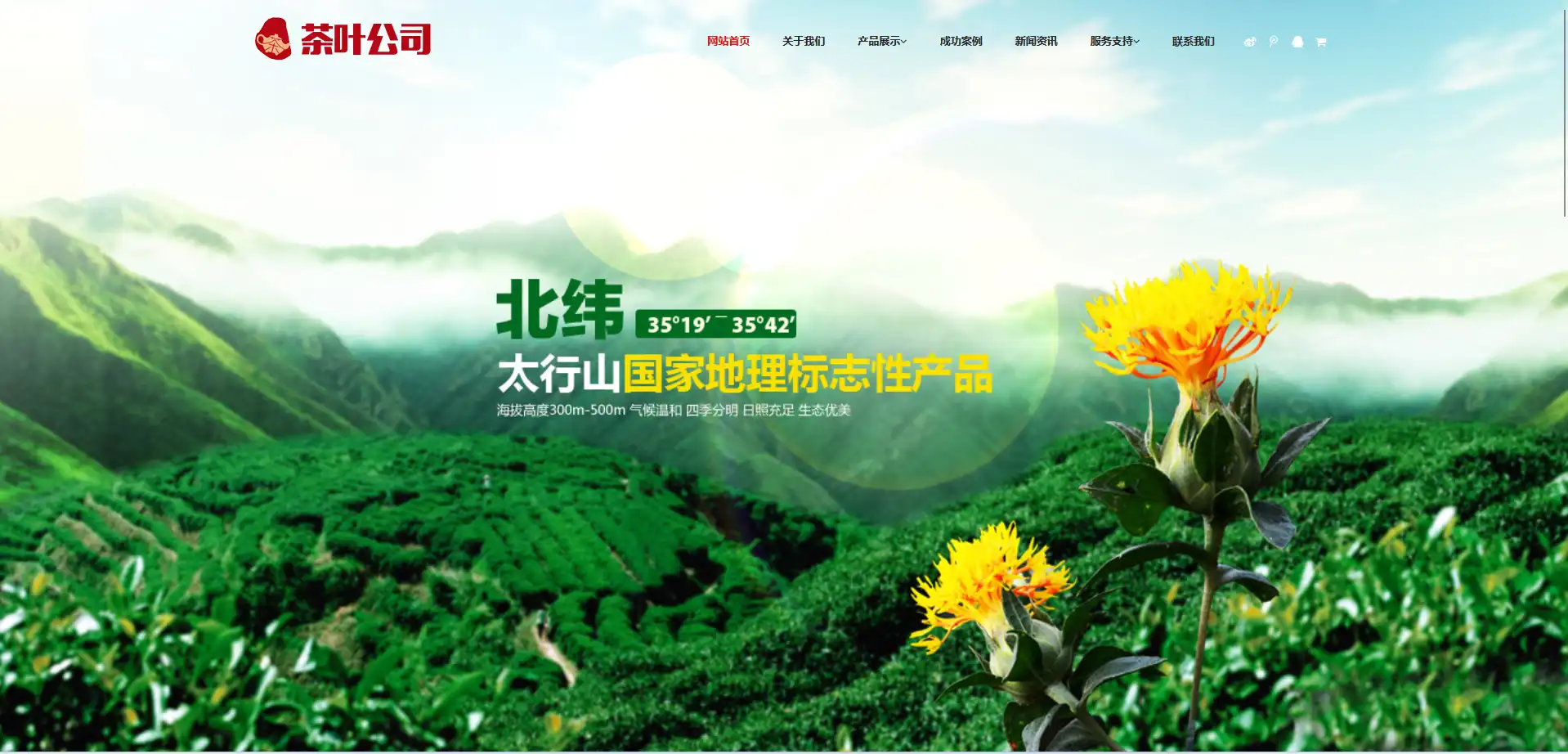 2.webp