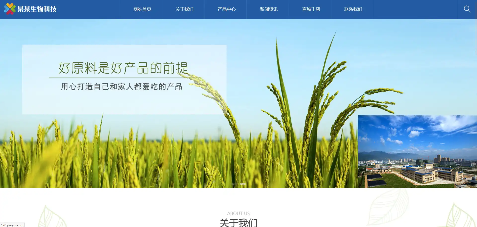 2.webp