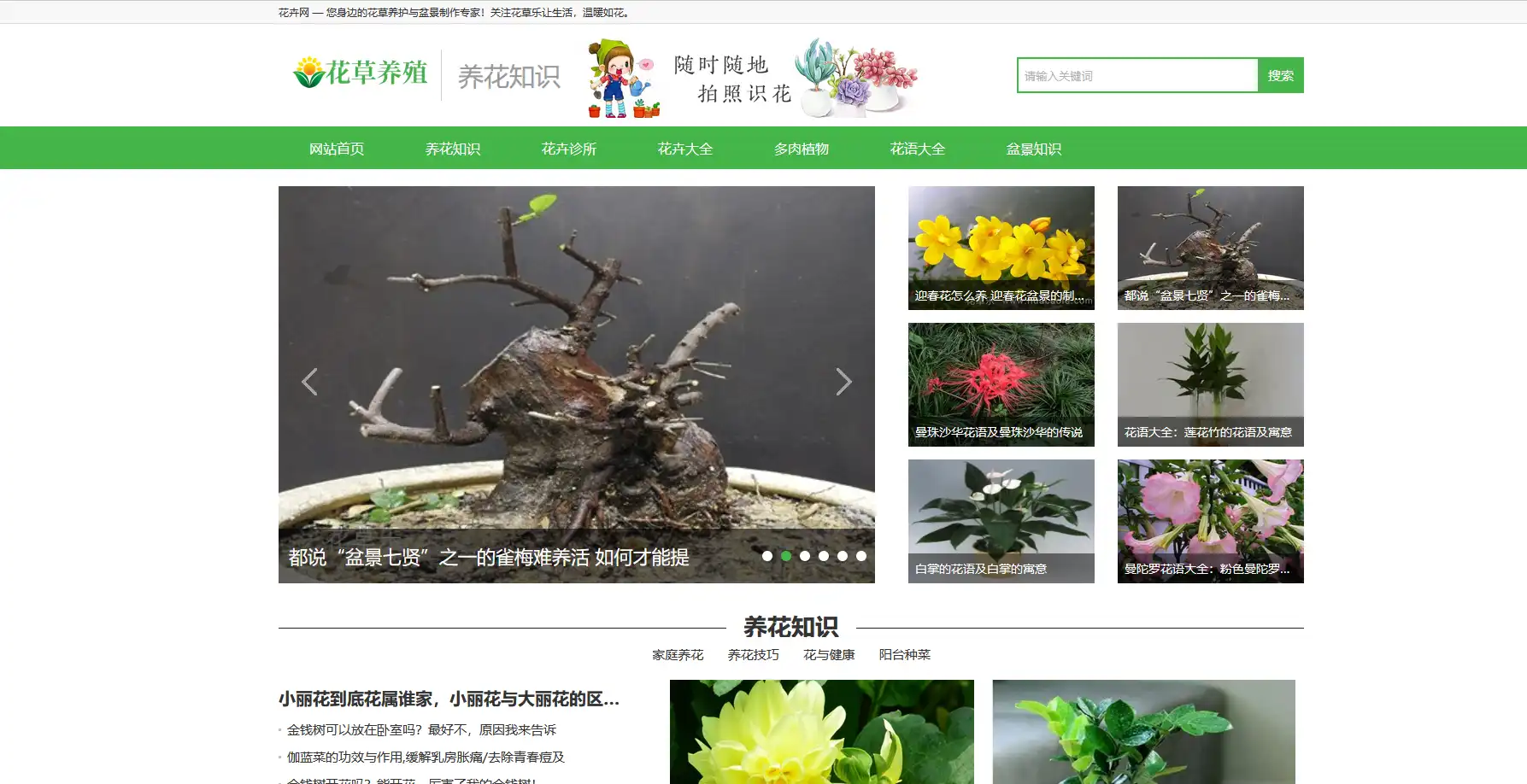1.webp