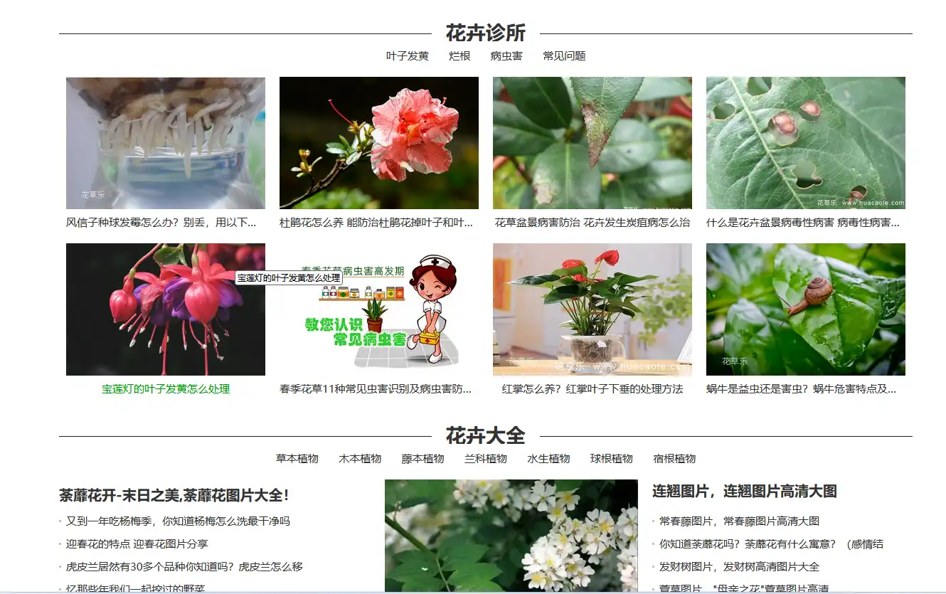 2.webp