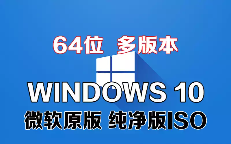 64.webp