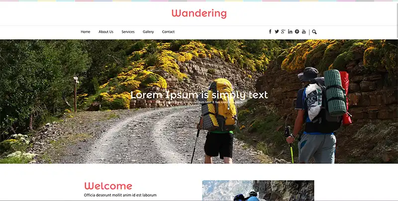 1.webp