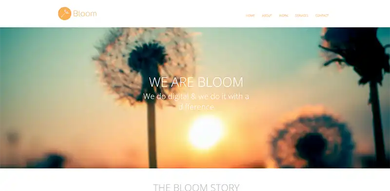 1.webp