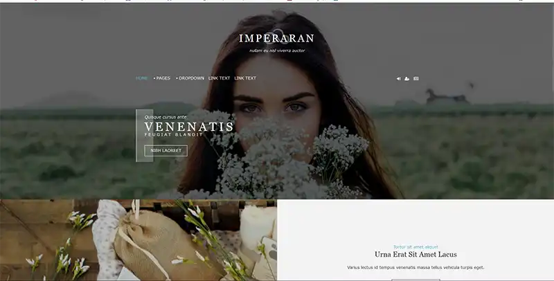 1.webp