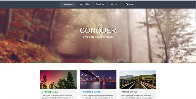 1.webp