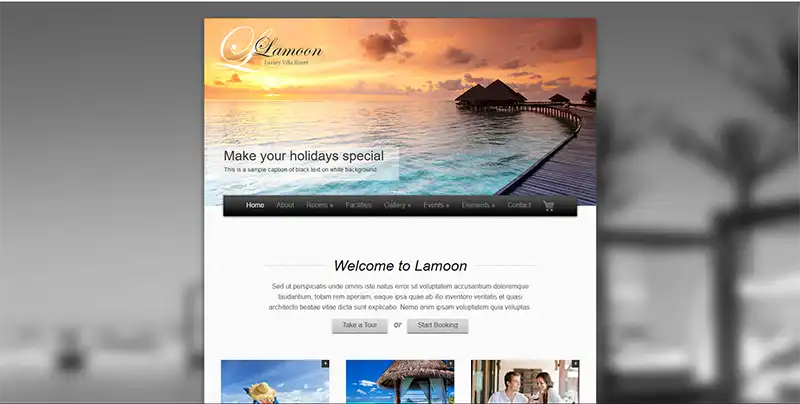 1.webp